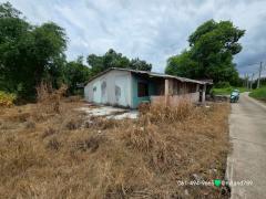 ขายบ้านสวน 150 ตรว. ต.บ้านนา อ.บ้านนา จ.นครนายก ที่ถมเท่าถนนแล้ว รูปที่สี่เหลี่ยมสวย ใกล้ทางหลวงชนบทเส้นหลัง อ.บ้านนา 1 กม.