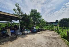 ขายที่ดิน สามโคก ใกล้ม.ธรรมศาสตร์รังสิต เนื้อที่ 162 ตร.ว. แปลงสวย-202507290907181753754838244.jpg