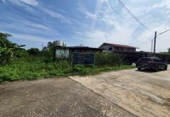 ขายที่ดิน สามโคก ใกล้ม.ธรรมศาสตร์รังสิต เนื้อที่ 162 ตร.ว. แปลงสวย-202507290907201753754840193.jpg