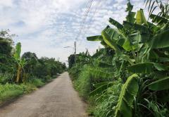 ขายที่ดิน สามโคก ใกล้ม.ธรรมศาสตร์รังสิต เนื้อที่ 162 ตร.ว. แปลงสวย-202507290907201753754840680.jpg