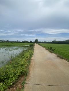 ขายที่นา 5 ไร่ 1 งาน ต.เมืองใหม่ อ.ราชสาส์น จ.ฉะเชิงเทรา เหมาะกับทำการเกษตร