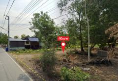 ขายที่ดิน เนื้อที่ 20 ไร่ ติด ถ.เลียบคลองวังน้อย ใกล้วัดสันติธรรมาราม (อยุธยา)-202507291419251753773565837.jpg