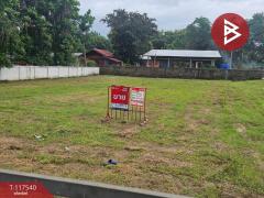 ขายที่ดิน-เนื้อที่-2-งาน-29-ตร.วา-สันทรา