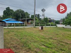 ขายที่ดิน เนื้อที่ 2 งาน 29 ตร.วา สันทราย เชียงใหม่-202507291700571753783257997.jpg