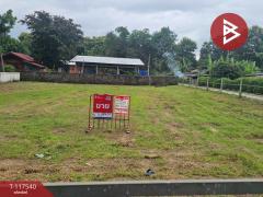 ขายที่ดิน เนื้อที่ 2 งาน 29 ตร.วา สันทราย เชียงใหม่-202507291701011753783261651.jpg