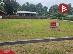 ขายที่ดิน เนื้อที่ 2 งาน 29 ตร.วา สันทราย เชียงใหม่-202507291701021753783262231.jpg