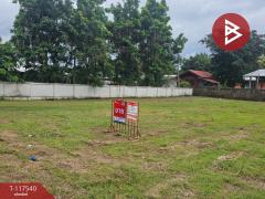 ขายที่ดิน เนื้อที่ 2 งาน 29 ตร.วา สันทราย เชียงใหม่-202507291701031753783263662.jpg