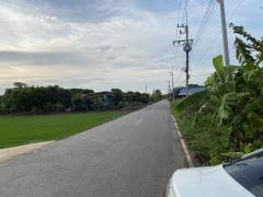 ขายที่ดิน 1 ไร่ 3 งาน ติดถนนดำ ต.เมืองเก่า อ.พนมสารคาม จ.ฉะเชิงเทรา ห่างจากถนน 304 เข้าซอย 1.7 กม (วัดโพธิ์ใหญ่)