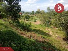 ขายที่ดิน เนื้อที่ 9 ไร่ 3 งาน 72 ตร.วา ท่าเสา อุตรดิตถ์