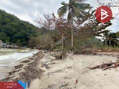 ขายที่ดิน เนื้อที่ 7 ไร่ 2 งาน 39.1 ตร.วา สวี ชุมพร-202507301135141753850114901.jpg