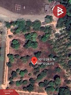ขายที่ดิน เนื้อที่ 7 ไร่ 2 งาน 39.1 ตร.วา สวี ชุมพร-202507301135161753850116496.jpg