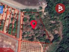 ขายที่ดิน เนื้อที่ 7 ไร่ 2 งาน 39.1 ตร.วา สวี ชุมพร-202507301135171753850117554.jpg