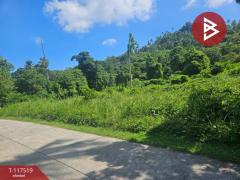 ขายที่ดิน เนื้อที่ 3 ไร่ 3 งาน 63.5 ตร.วา เกาะสมุย สุราษฎร์ธานี