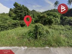 ขายที่ดิน เนื้อที่ 3 ไร่ 3 งาน 63.5 ตร.วา เกาะสมุย สุราษฎร์ธานี-202507301145051753850705400.jpg