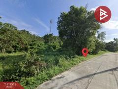 ขายที่ดิน เนื้อที่ 3 ไร่ 3 งาน 63.5 ตร.วา เกาะสมุย สุราษฎร์ธานี-202507301145051753850705951.jpg