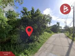 ขายที่ดิน เนื้อที่ 3 ไร่ 3 งาน 63.5 ตร.วา เกาะสมุย สุราษฎร์ธานี-202507301145061753850706513.jpg