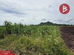 ขายที่ดิน เนื้อที่ 10 ไร่ ชัยบาดาล ลพบุรี
