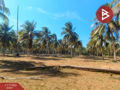 ขายที่ดิน เนื้อที่ 32 ไร่ 7 ตร.วา บางสะพานน้อย ประจวบคีรีขันธ์-202507301243441753854224672.jpg