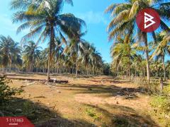 ขายที่ดิน เนื้อที่ 32 ไร่ 7 ตร.วา บางสะพานน้อย ประจวบคีรีขันธ์-202507301243471753854227417.jpg