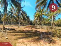 ขายที่ดิน เนื้อที่ 32 ไร่ 7 ตร.วา บางสะพานน้อย ประจวบคีรีขันธ์-202507301243481753854228518.jpg