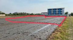 ขายที่ดินเปล่า ลำลูกกา คลองหก ขนาด 2ไร่ (เจ้าของขายเอง)