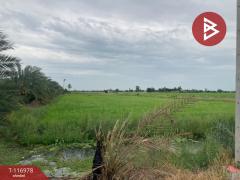 ขายที่ดิน เนื้อที่ 18 ไร่ บางเลน นครปฐม-202507301342511753857771966.jpg