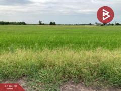 ขายที่ดิน เนื้อที่ 18 ไร่ บางเลน นครปฐม-202507301342531753857773065.jpg