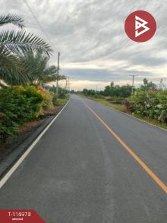 ขายที่ดิน เนื้อที่ 18 ไร่ บางเลน นครปฐม-202507301342541753857774745.jpg