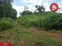 ขายที่ดิน เนื้อที่ 3 ไร่ 3 งาน 79.5 ตร.วา ท่าเสา อุตรดิตถ์-202507301442301753861350055.jpg
