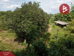 ขายที่ดิน เนื้อที่ 3 ไร่ 3 งาน 79.5 ตร.วา ท่าเสา อุตรดิตถ์-202507301442311753861351559.jpg
