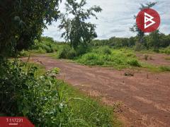 ขายที่ดิน เนื้อที่ 3 ไร่ 3 งาน 79.5 ตร.วา ท่าเสา อุตรดิตถ์-202507301442341753861354164.jpg