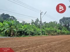 ขายที่ดิน เนื้อที่ 8 ไร่ 3 งาน 92 ตร.วา หนองเสือ ปทุมธานี