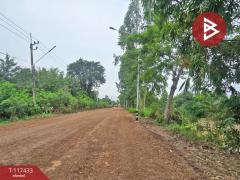 ขายที่ดิน เนื้อที่ 8 ไร่ 3 งาน 92 ตร.วา หนองเสือ ปทุมธานี-202507301502381753862558705.jpg
