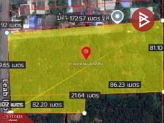 ขายที่ดิน เนื้อที่ 8 ไร่ 3 งาน 92 ตร.วา หนองเสือ ปทุมธานี-202507301502451753862565752.jpg