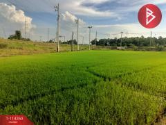 ขายที่ดิน เนื้อที่ 1 ไร่ 2 งาน 5.1 ตร.วา ชุมแสง นครสวรรค์