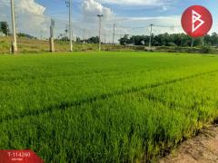 ขายที่ดิน เนื้อที่ 1 ไร่ 2 งาน 5.1 ตร.วา ชุมแสง นครสวรรค์-202507301653281753869208242.jpg