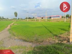 ขายที่ดิน เนื้อที่ 1 ไร่ 2 งาน 5.1 ตร.วา ชุมแสง นครสวรรค์-202507301653281753869208747.jpg