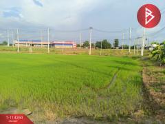 ขายที่ดิน เนื้อที่ 1 ไร่ 2 งาน 5.1 ตร.วา ชุมแสง นครสวรรค์-202507301653291753869209235.jpg