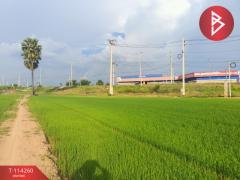 ขายที่ดิน เนื้อที่ 1 ไร่ 2 งาน 5.1 ตร.วา ชุมแสง นครสวรรค์-202507301653291753869209724.jpg