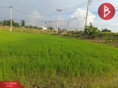ขายที่ดิน เนื้อที่ 1 ไร่ 2 งาน 5.1 ตร.วา ชุมแสง นครสวรรค์-202507301653301753869210216.jpg