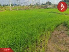 ขายที่ดิน เนื้อที่ 1 ไร่ 2 งาน 5.1 ตร.วา ชุมแสง นครสวรรค์-202507301653301753869210706.jpg