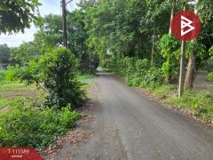 ขายที่ดิน เนื้อที่ 3 งาน 49.8 ตร.วา ท่าใหม่ จันทบุรี-202507301721251753870885586.jpg