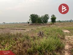 ขายที่ดิน เนื้อที่ 4 ไร่ ต.เพ็ญ จ.อุดรธานี-202507302037181753882638408.jpg