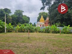 ขายที่ดิน เนื้อที่ 1 ไร่ 1 งาน 56 ตร.วา สันทราย เชียงใหม่-202507302116211753884981878.jpg