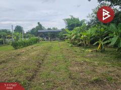 ขายที่ดิน เนื้อที่ 1 ไร่ 1 งาน 56 ตร.วา สันทราย เชียงใหม่-202507302116221753884982417.jpg