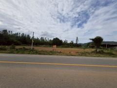 ขายที่ดินวิวเขา เนื้อที่ 11 ไร่เศษ ติดทางหลวงชนบท สพ.4016 อ.ด่านช้าง จ.สุพรรณบุรี-202507310209171753902557332.jpg