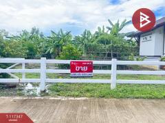 ขายที่ดิน เนื้อที่ 1 งาน 16.3 ตร.วา ดอยสะเก็ด เชียงใหม่-202507311124561753935896673.jpg