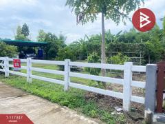 ขายที่ดิน เนื้อที่ 1 งาน 16.3 ตร.วา ดอยสะเก็ด เชียงใหม่-202507311124571753935897413.jpg