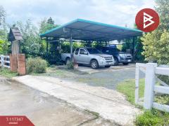 ขายที่ดิน เนื้อที่ 1 งาน 16.3 ตร.วา ดอยสะเก็ด เชียงใหม่-202507311124581753935898494.jpg