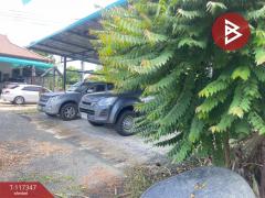 ขายที่ดิน เนื้อที่ 1 งาน 16.3 ตร.วา ดอยสะเก็ด เชียงใหม่-202507311125001753935900708.jpg